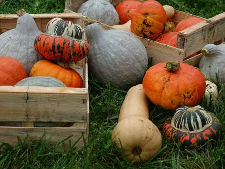 Event - Autumn Soup