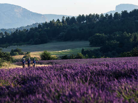 Séjour VTT Le Campagnard, la formule VTT en famille !