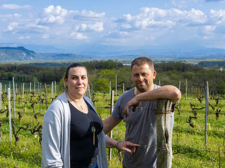 Les sens de la vigne - Domaine Trichon