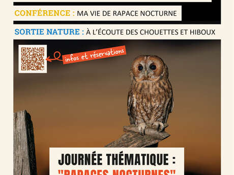 ABC : journée thématique sur les rapaces nocturnes