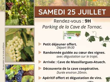 Randonnée - De la Vigne au Verre
