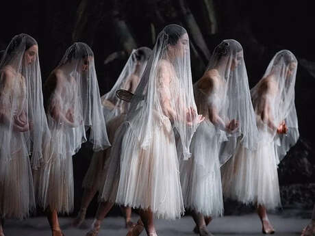 Giselle (The Royal Ballet)