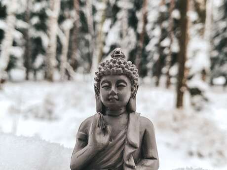 Transformerende" meditatie workshop