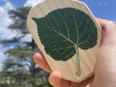 Exposition d'Anne Perier : Les formes organiques