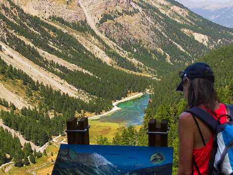 Sentier pédagogique de la Taure dans la réserve biologique du bois des Ayes