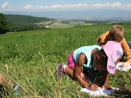 Balades des petits artistes