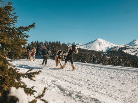 Criterium de Ski Joering