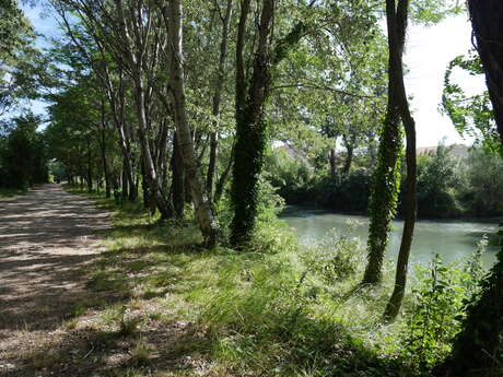 Balade sur les berges de l’Ouvèze, à Sorgues