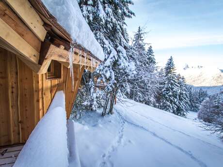 Ma nuit insolite dans les arbres (cabanes perchées)