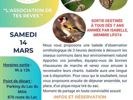Balade commenté chants d'oiseaux
