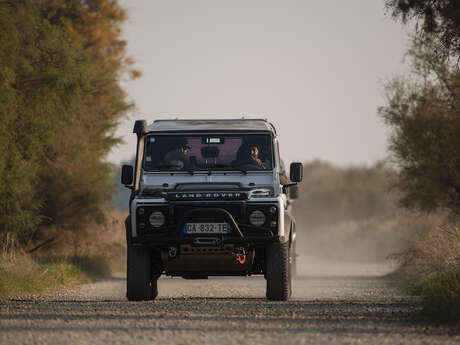 Découverte de la Camargue en 4X4 avec Camargue Alpilles  Safari