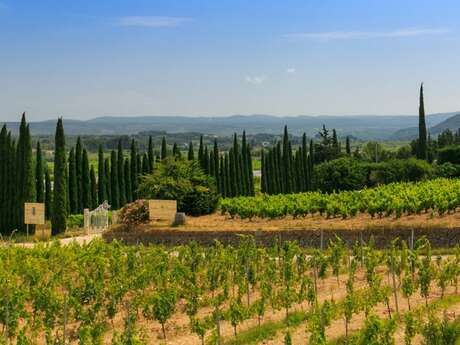 Domaine de la Roche Redonne