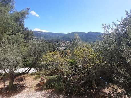 Maison - T3 - 55 m² - 2 niveaux