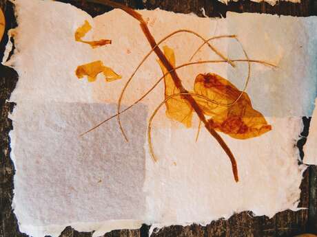 l'Esperluette - Stage : fabrication de papier de plantes et projet individuel