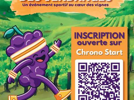 Marathon des vendanges 2ème édition