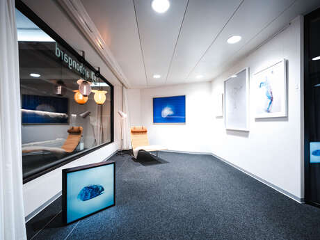 Rencontres avec les artistes