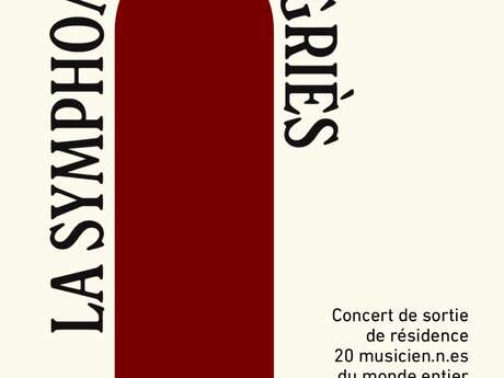 Concerto di chiusura della residenza artistica presso il monastero di Ségriès: la Sinfonia di Ségriès