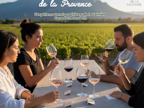 Dégustation découverte au Château de la Galinière : Les 3 couleurs de la Provence