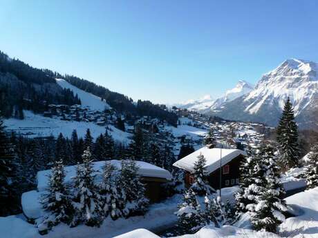 Appartement dans chalet - 6 personnes - Les Grangettes