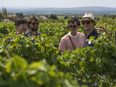 Auf die französische Art! Provence