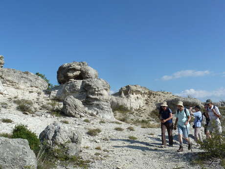 Rando découverte : les Mourres de Forcalquier