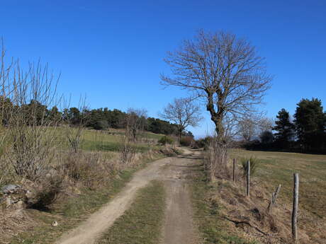 Le Puy de Montchaud - PR 15 - VTT