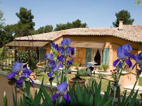 PLENITUDE EN PROVENCE - N° 101101