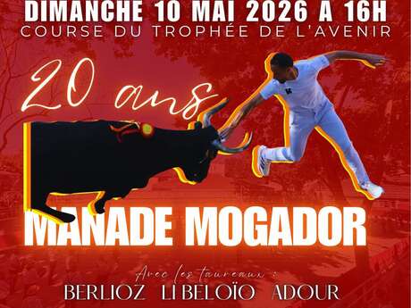 Tarascon/Course Camarguaises - Taureaux Piscine/Club Taurin "Lou Pétassa"