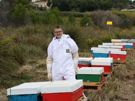 Les ruchers de Georges