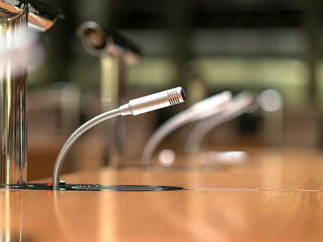 Conférence - Les myxomycètes