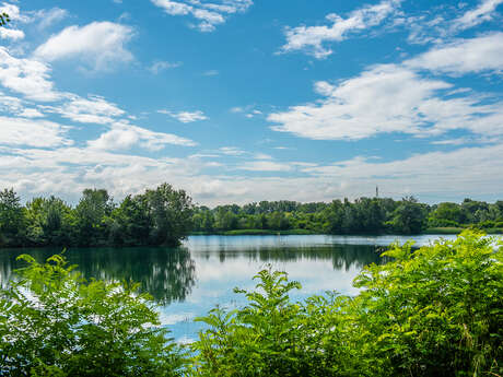 Marais de l'île vieille