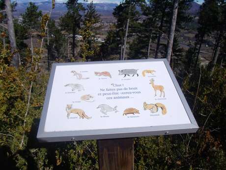 Tour de la Colle (N°2)