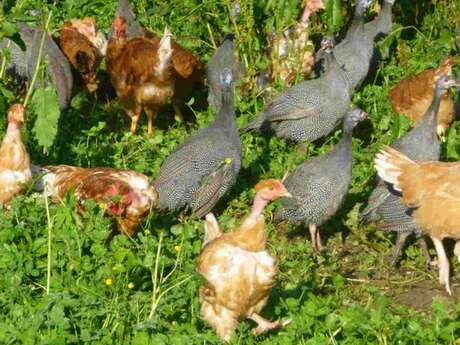 Ferme des Echelles