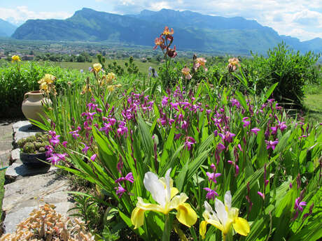Revenons-à-nos-Moutons