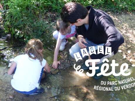 5-Au fil de l’eau
