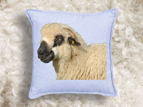 Au labo du Château : Coussins tout doux it yourself