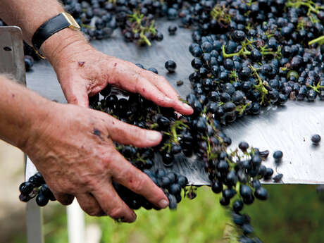 Domaine Pierre Gaillard
