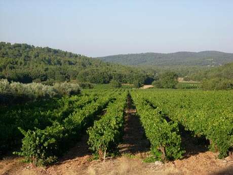 Domaine de Cambaret