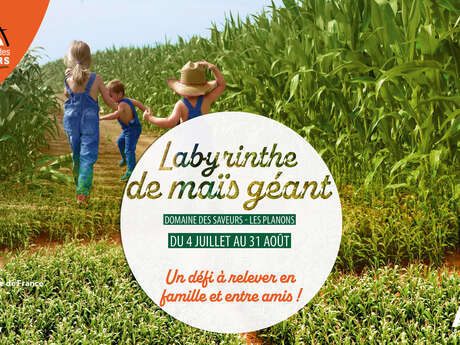 Labyrinthe de maïs