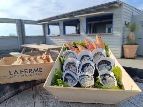 La Cabane de la Ferme des Baleines