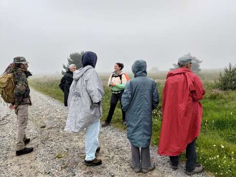 Sur les traces des glaciers foréziens