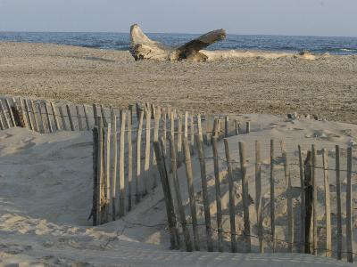 La plage d'Arles - Plage de Piémanson
