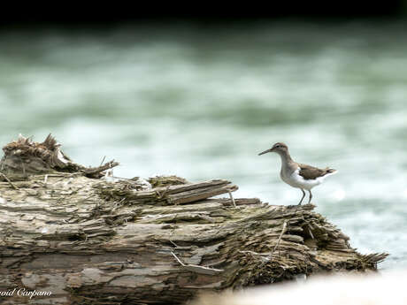Exposition Photosensibles