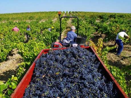 Visite de la cave - Domaine Grand Nicolet