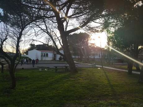 Campo de petanca de Bois-Plage-en-Ré