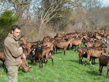 GAEC de la Bellimure
