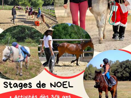 Noël le Bonheur des Enfants -  Poneys Boules de Poils, Crinières au Vent.