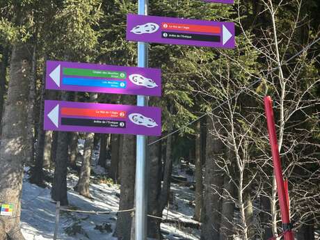 Les Mouilles snowshoe trail