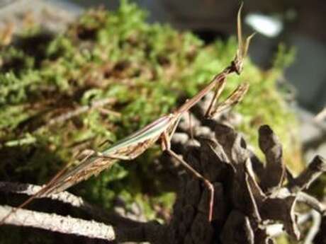 Eco Musée Vivant de Provence