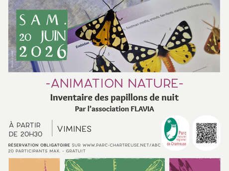 Inventaire des papillons de nuit